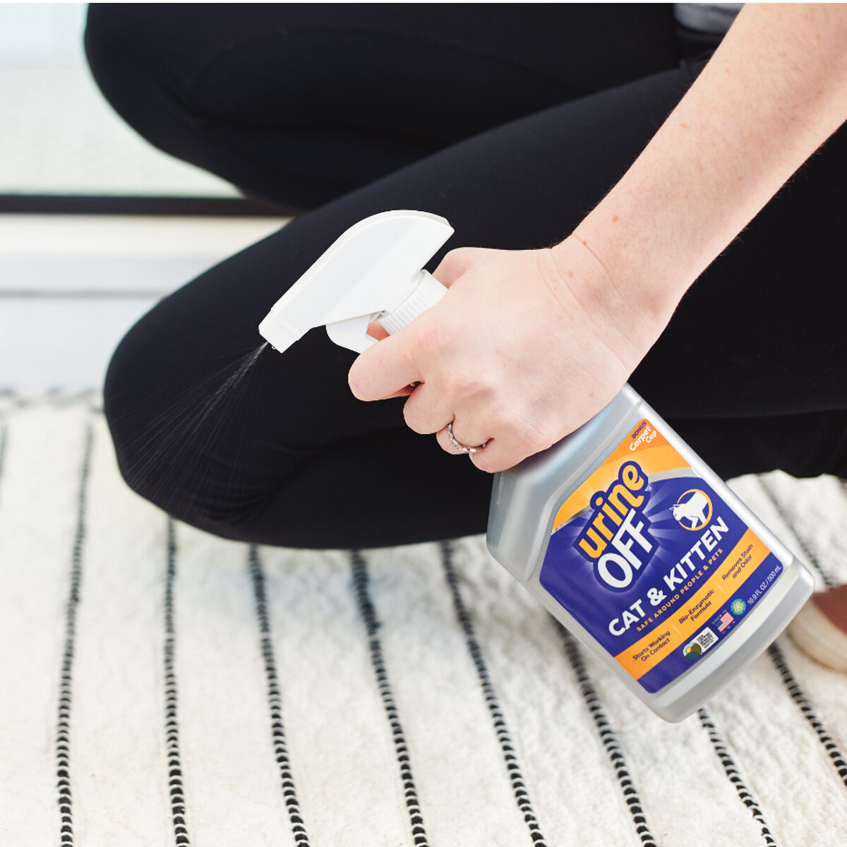 S6103810_3 S6103810_3