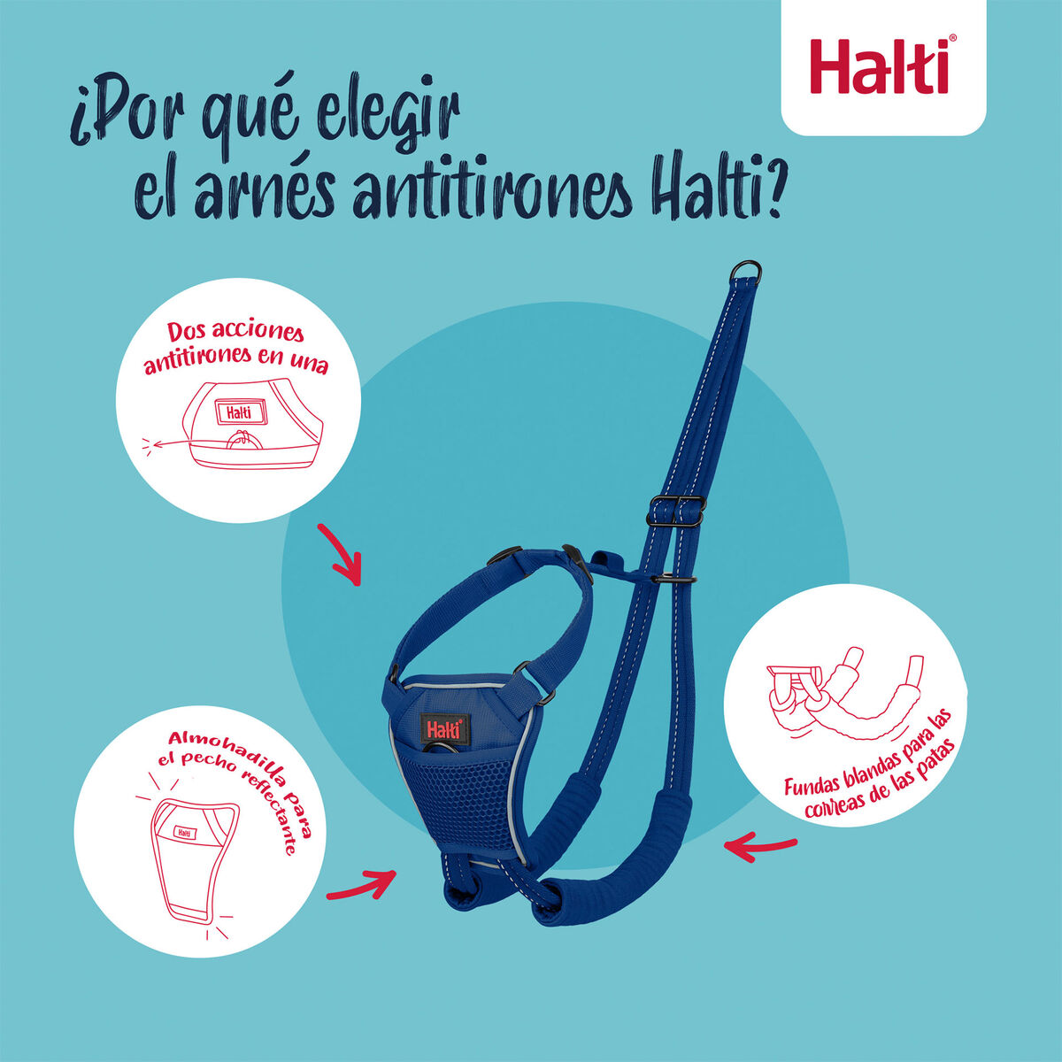 S6105354_11 S6105354_11