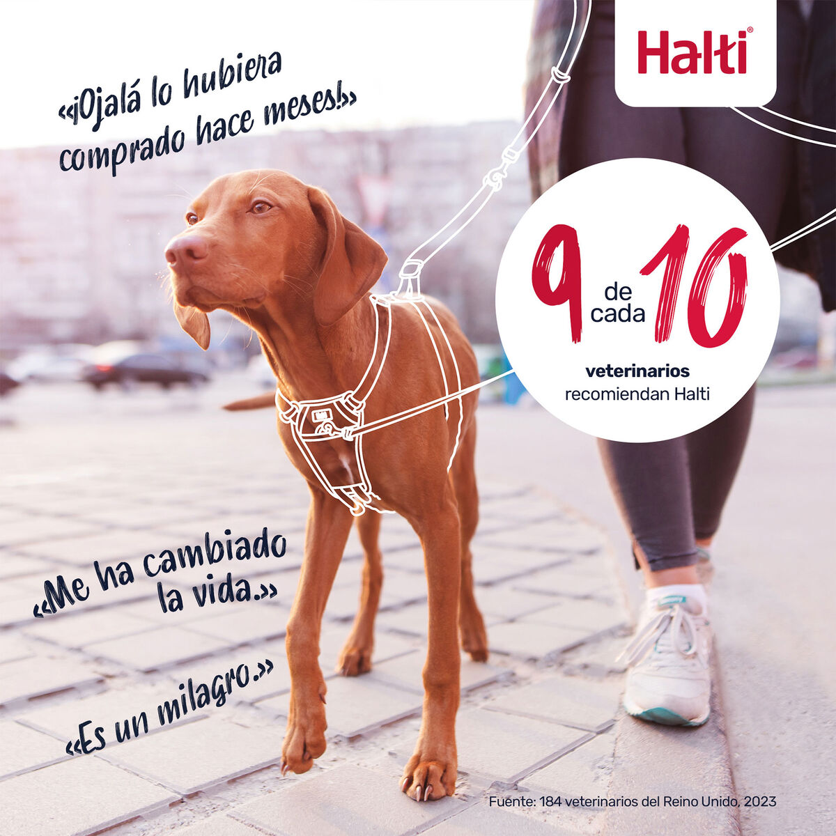 S6105356_9 S6105356_9