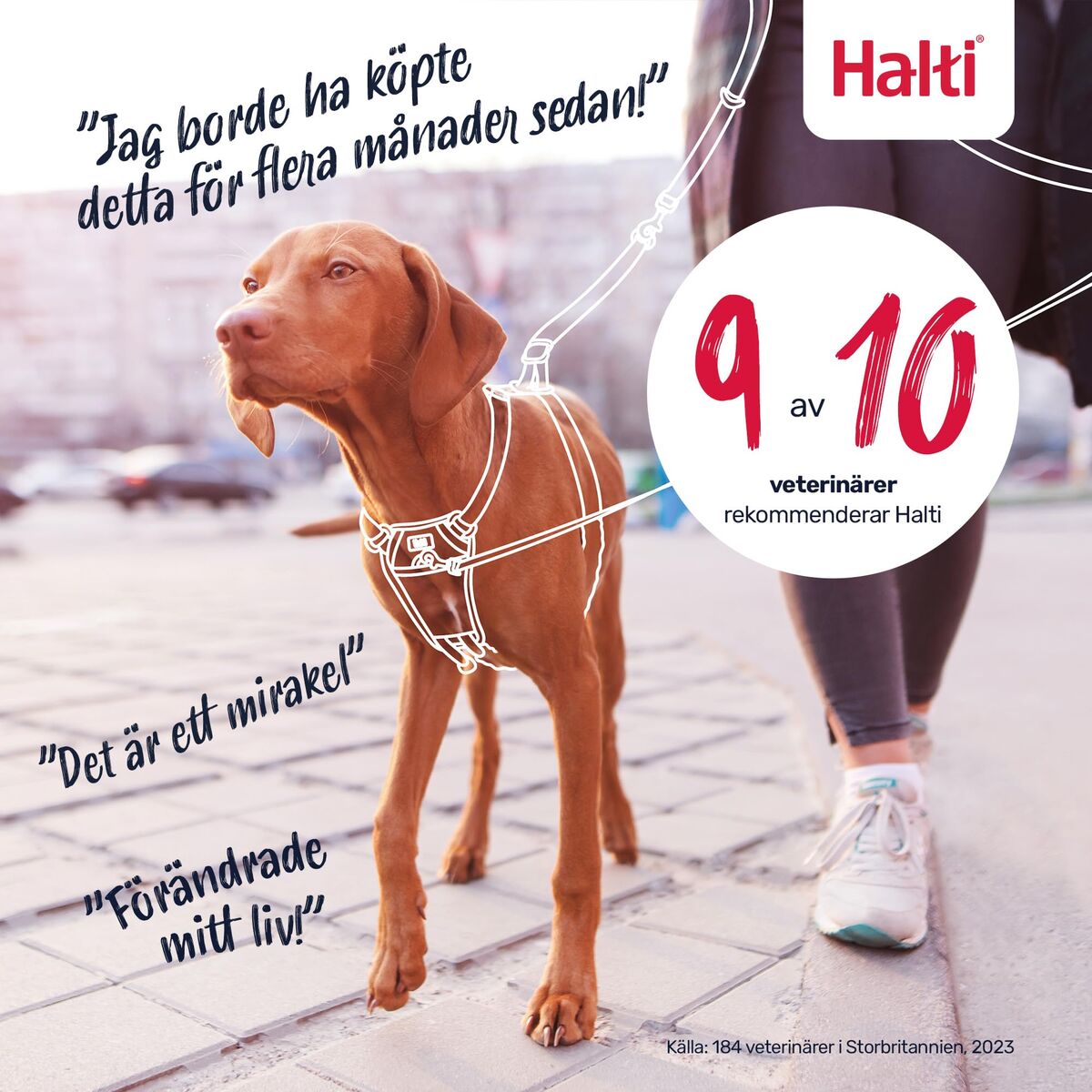 S6105368_11 S6105368_11