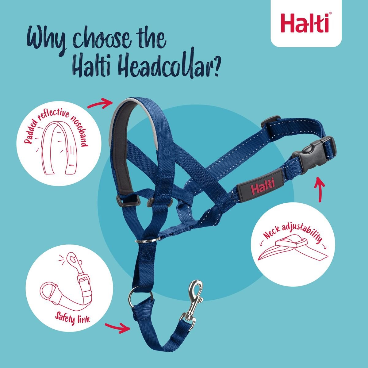 S6105384_8 S6105384_8