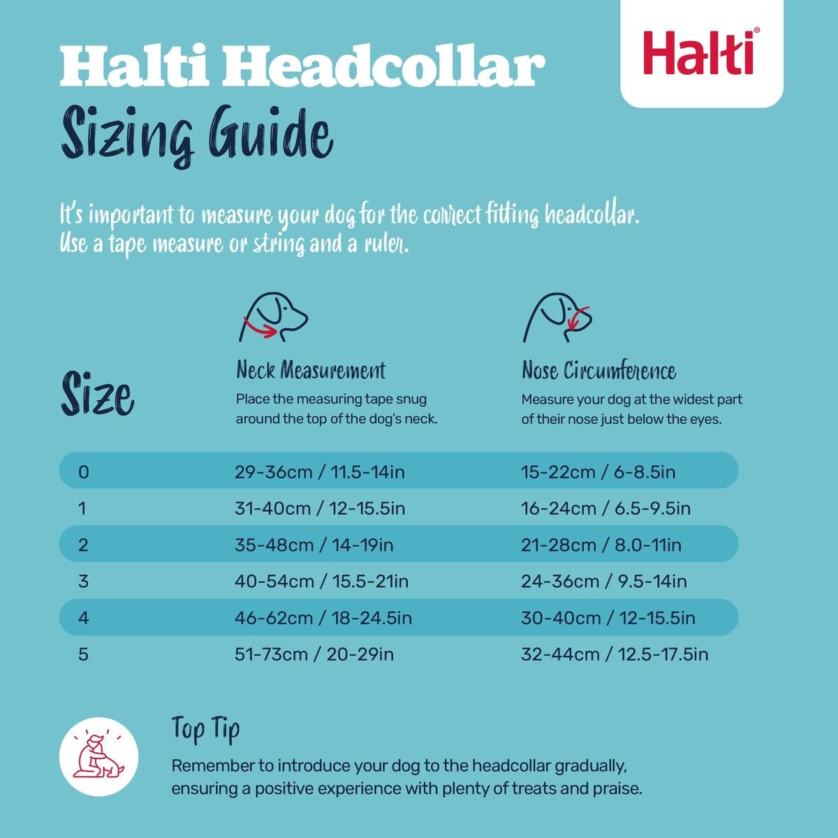 S6105384_10 S6105384_10