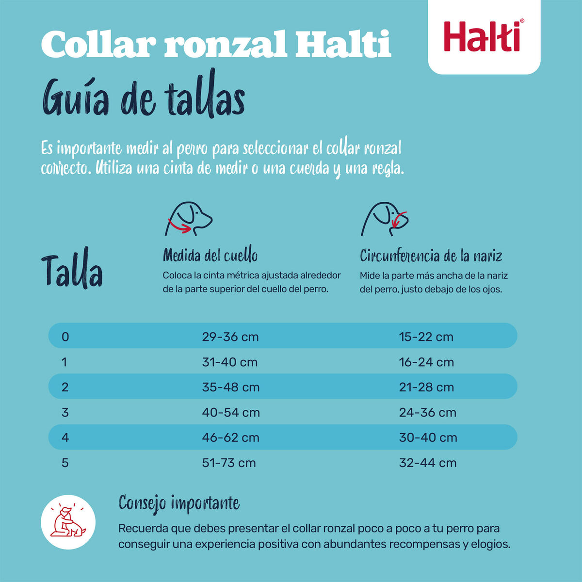 S6105385_1 S6105385_1