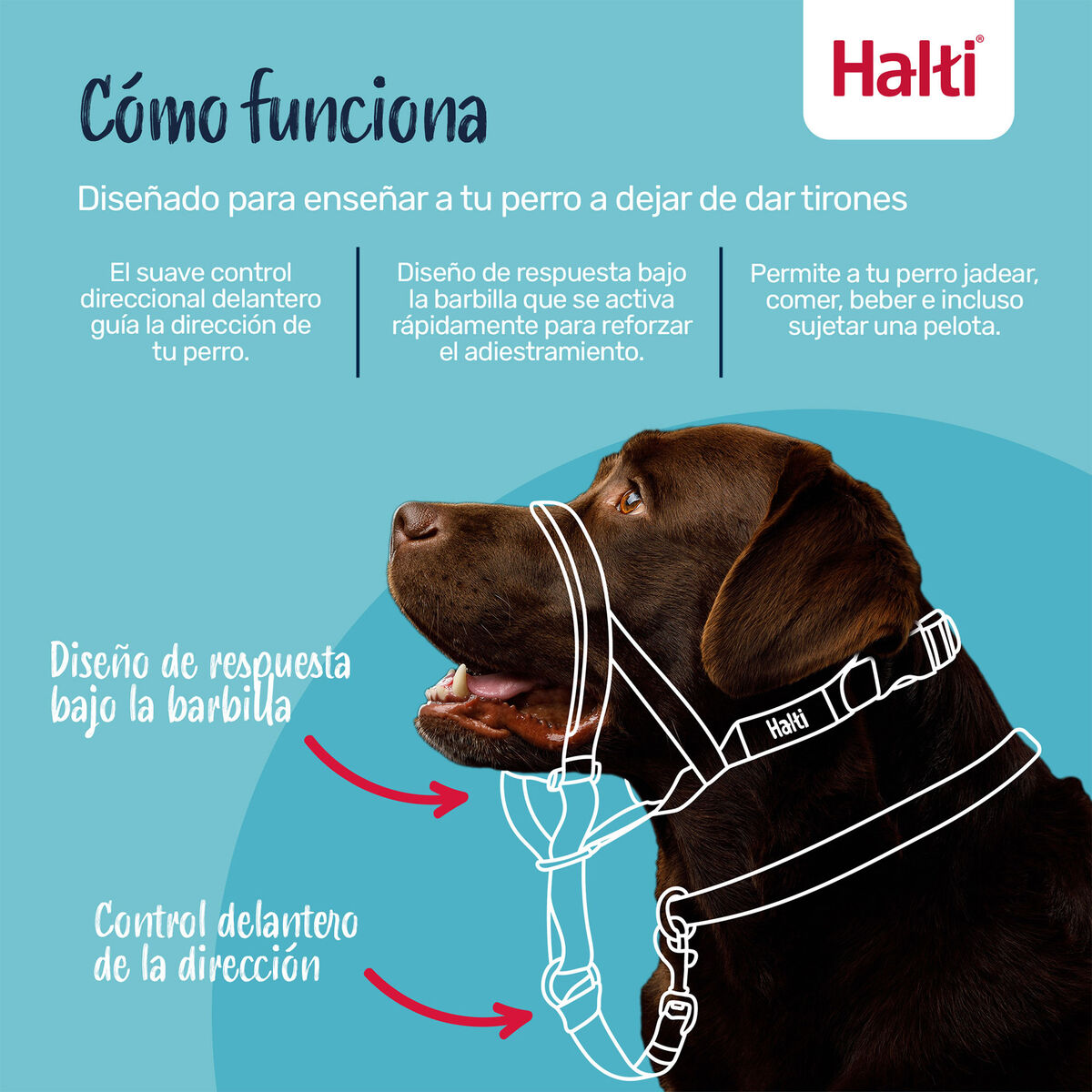 S6105392_5 S6105392_5