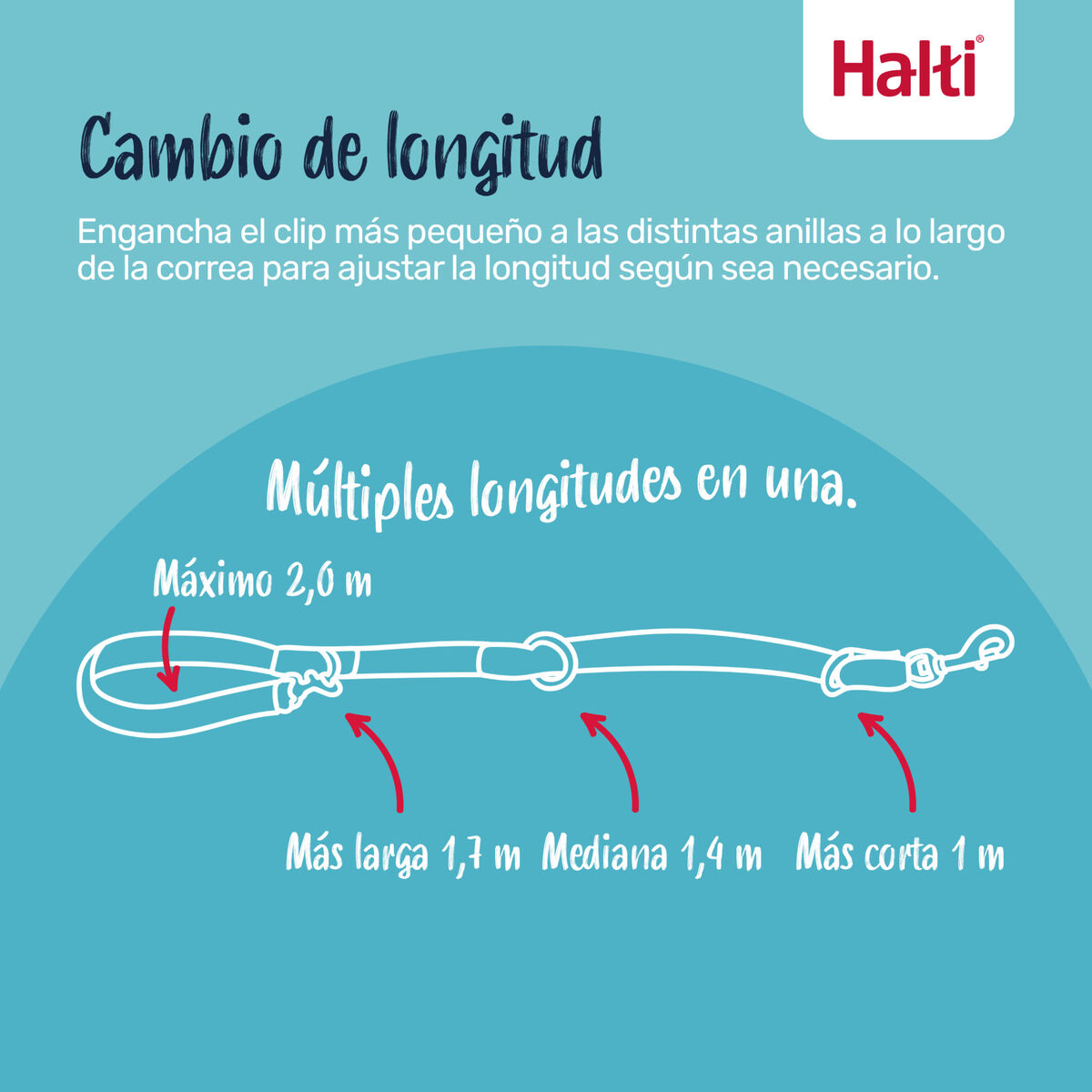 S6105362_10 S6105362_10