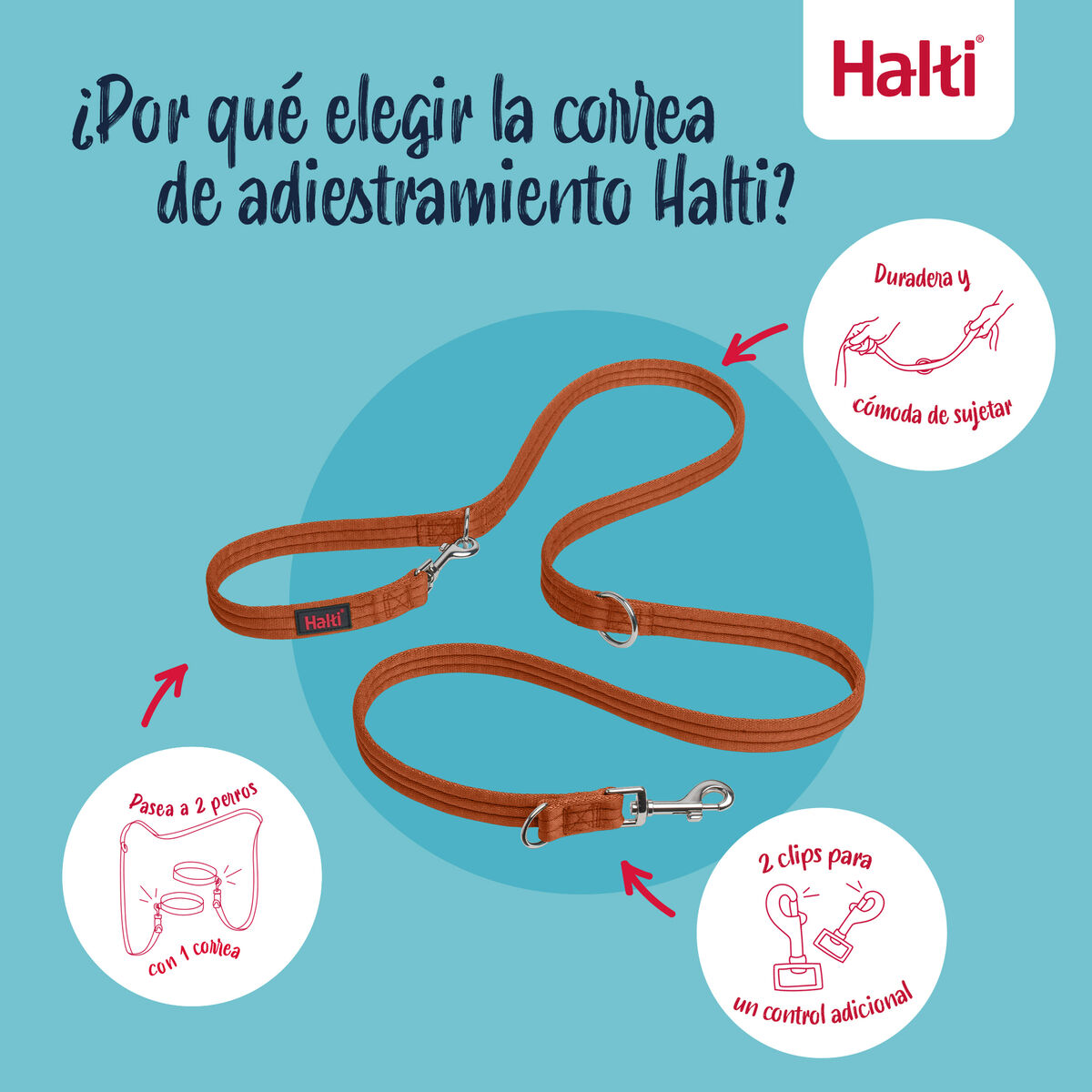 S6105362_11 S6105362_11