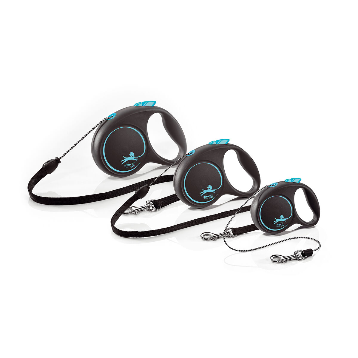 S6100419_2 S6100419_2