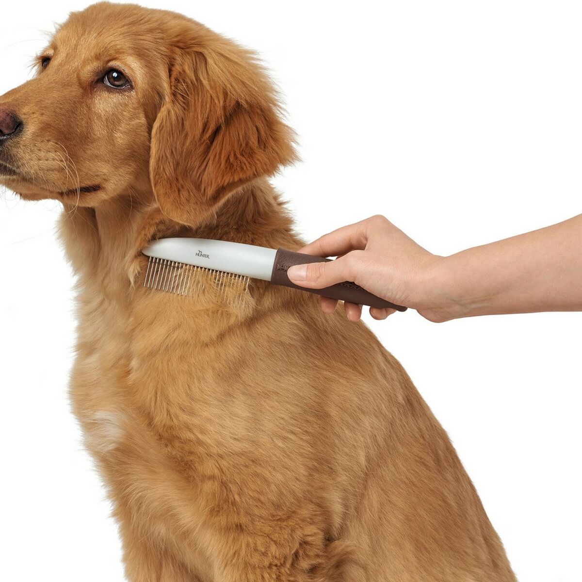 S6102773_2 S6102773_2