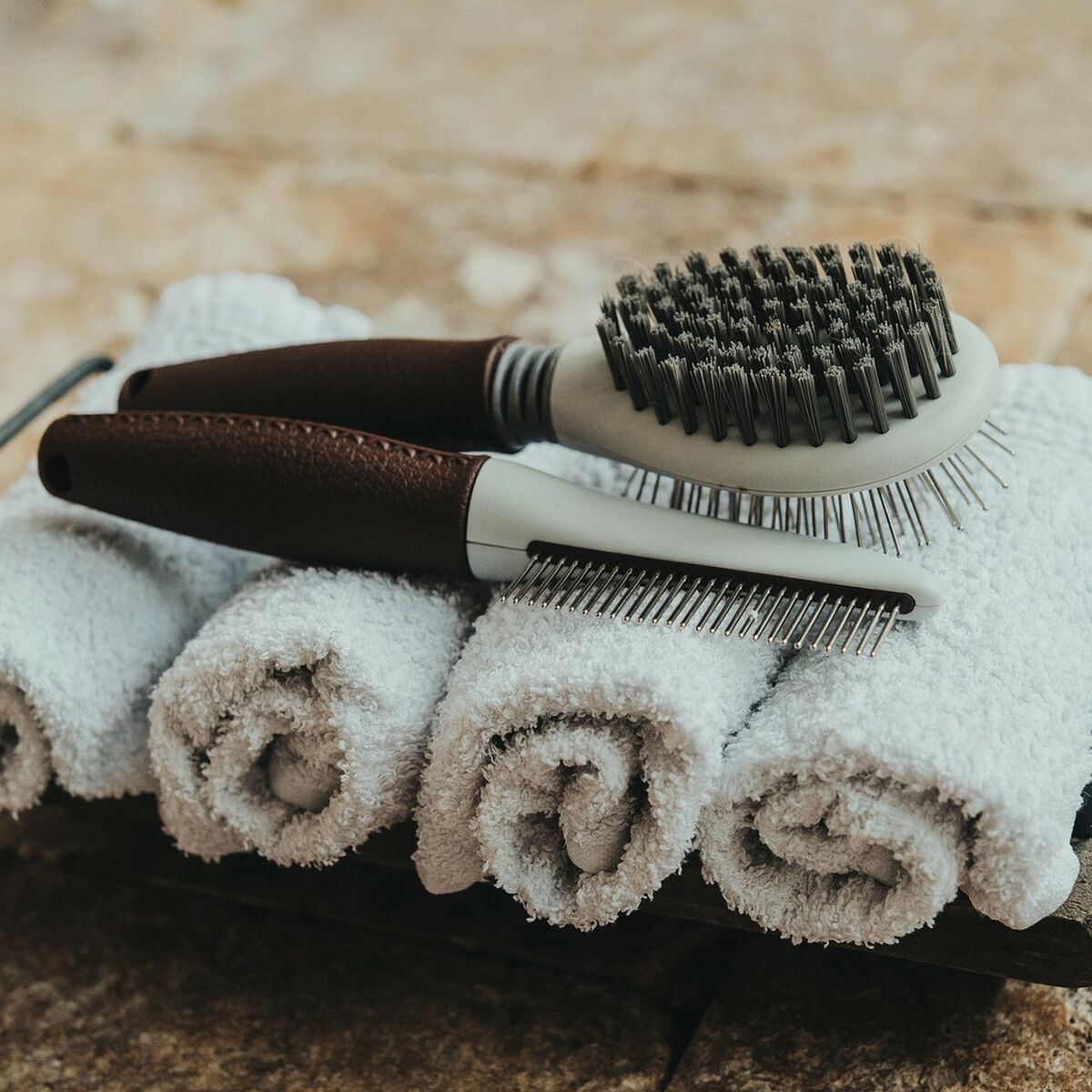 S6102773_3 S6102773_3