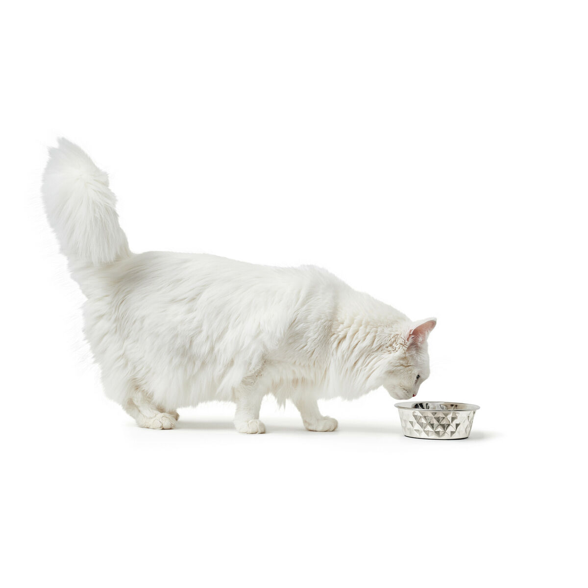 S6104455_3 S6104455_3