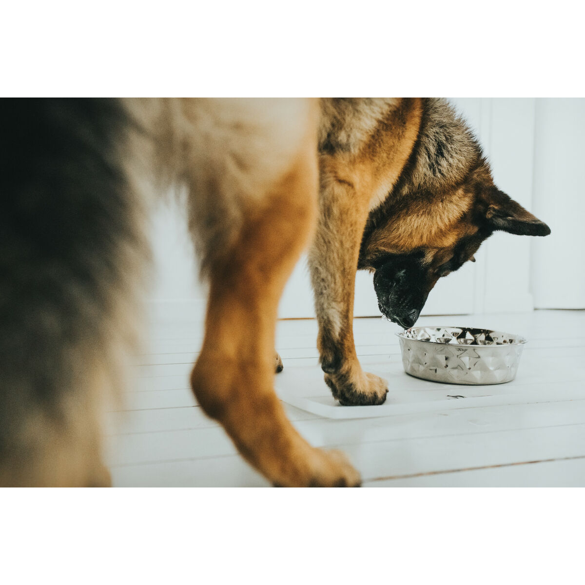 S6104455_4 S6104455_4