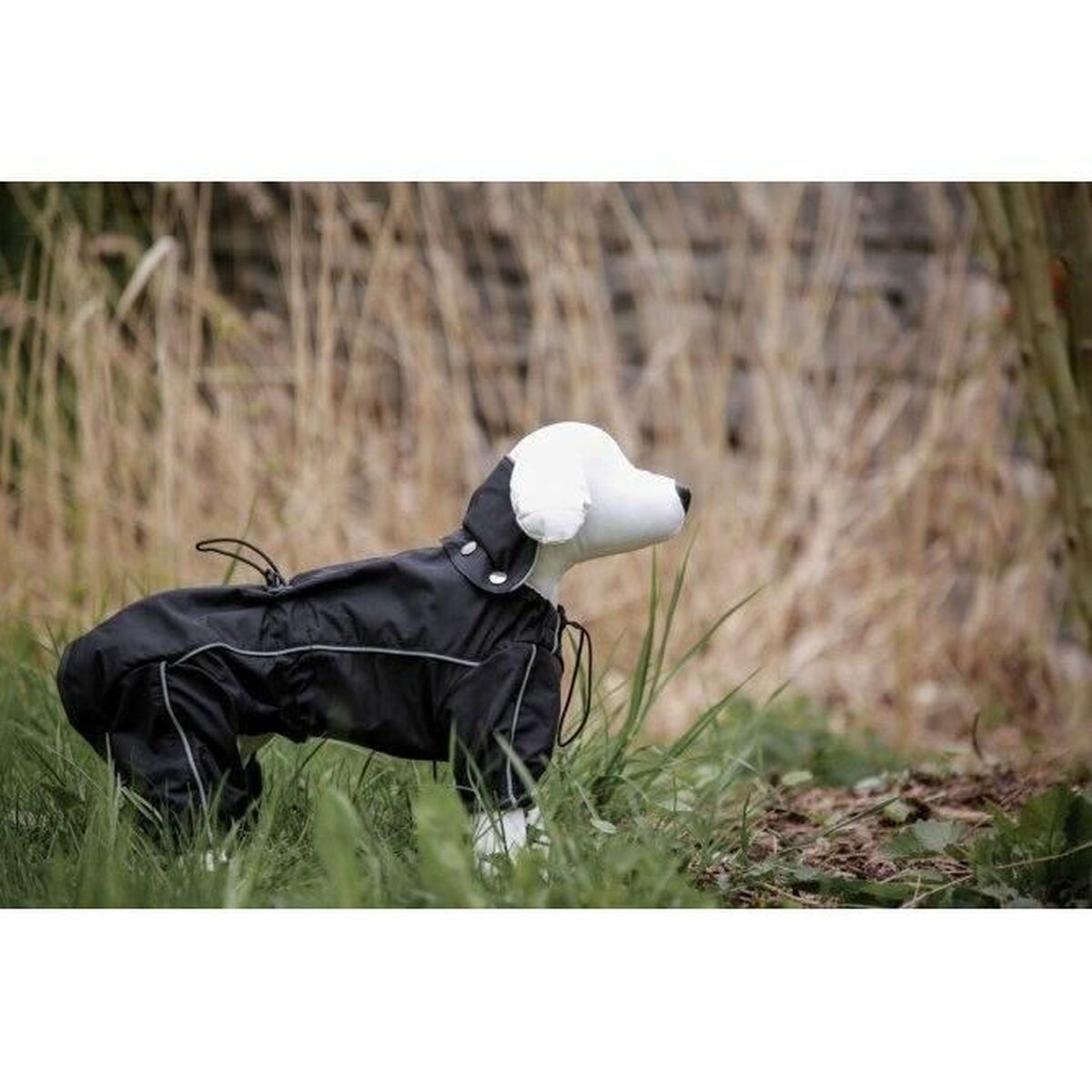 S71003451_2 S71003451_2