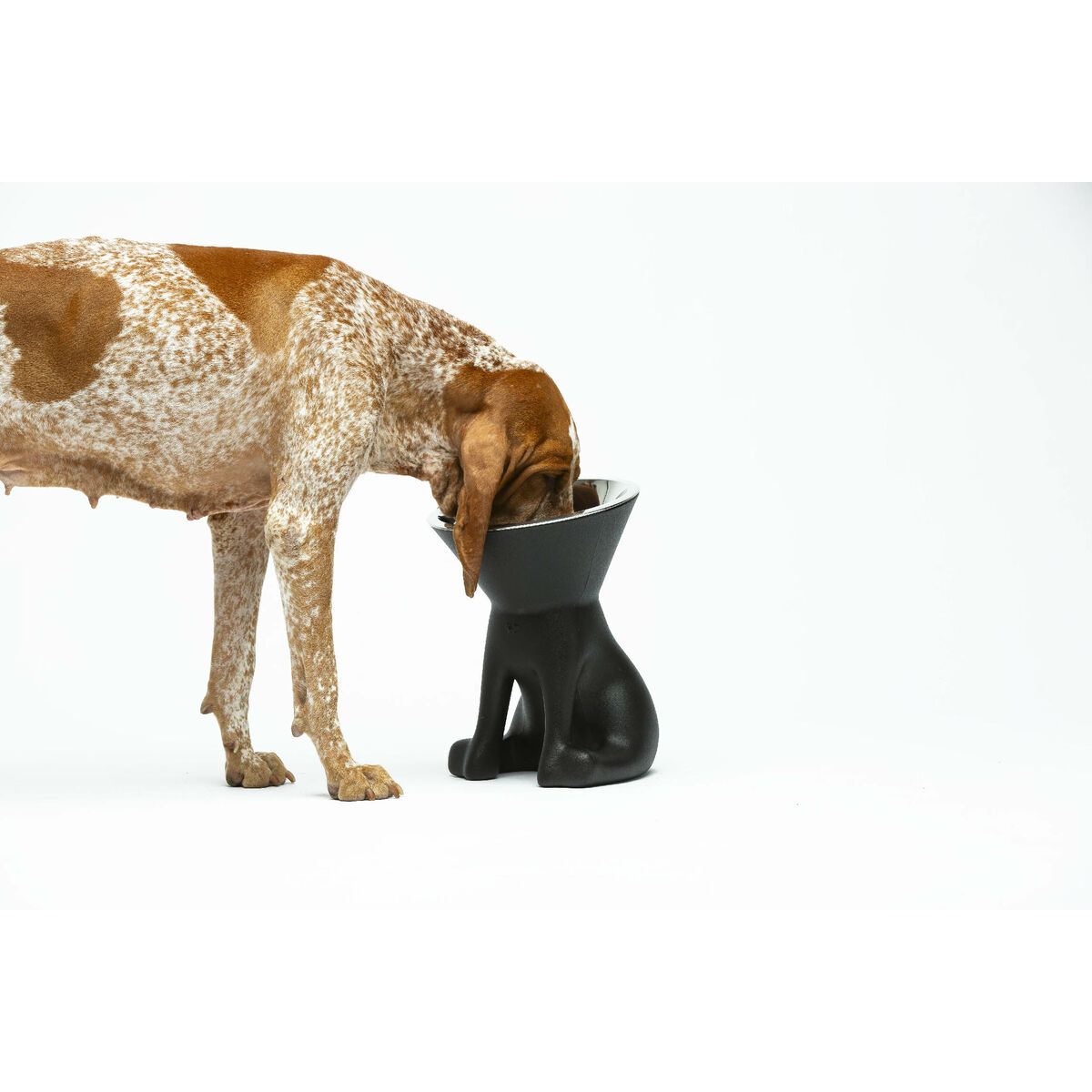 S6105239_4 S6105239_4