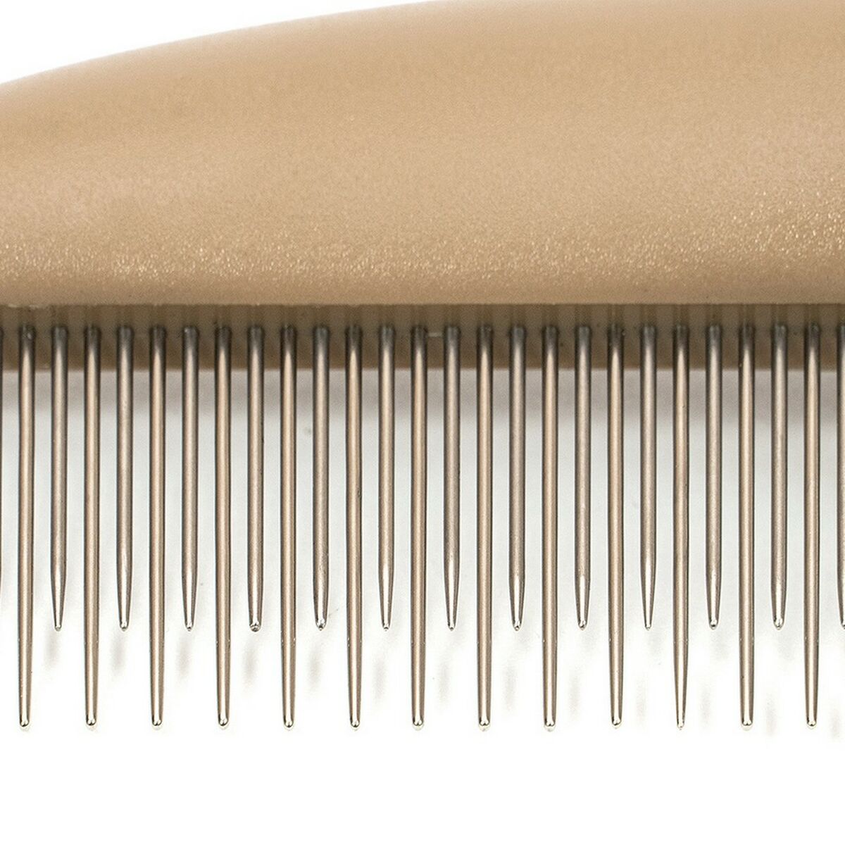 S6101647_4 S6101647_4