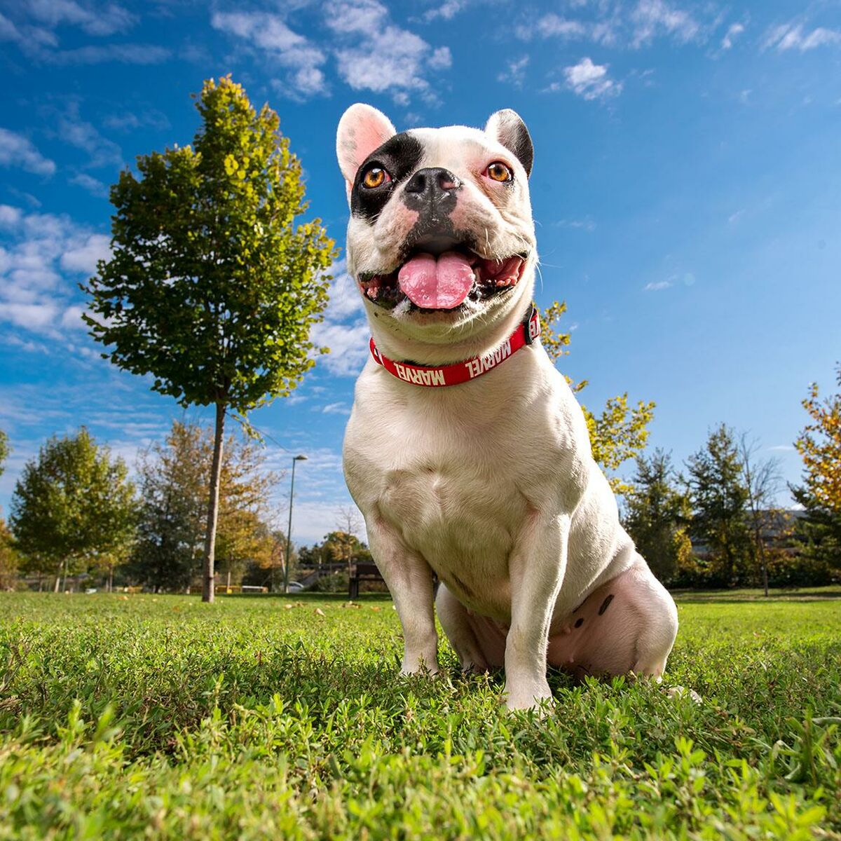 S2444286_8 S2444286_8