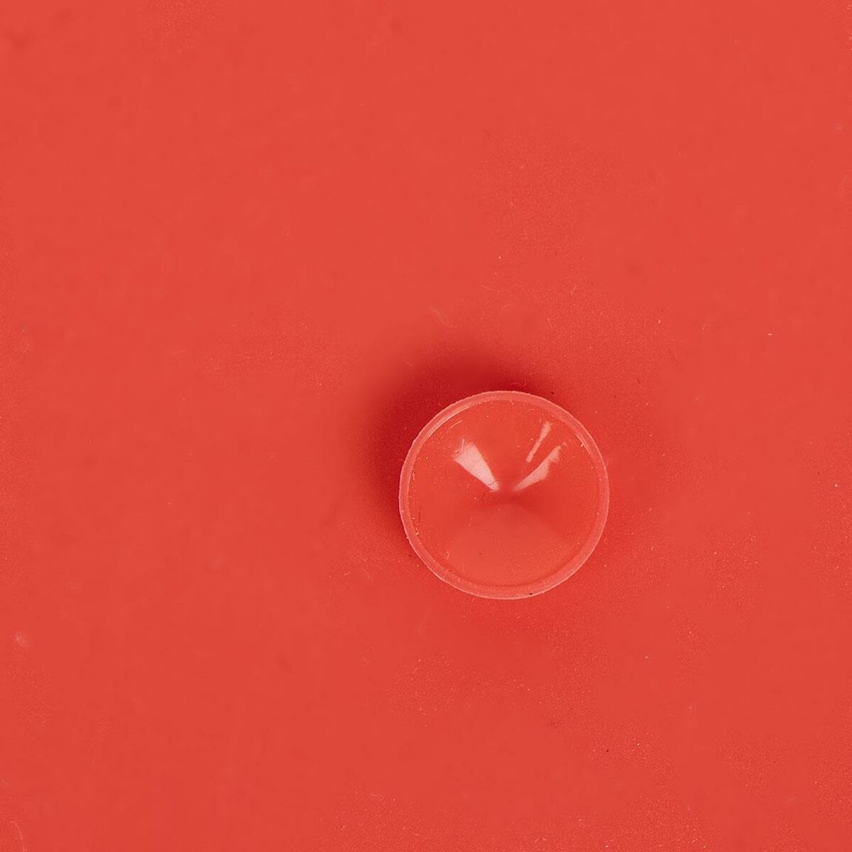 S2449935_1 S2449935_1