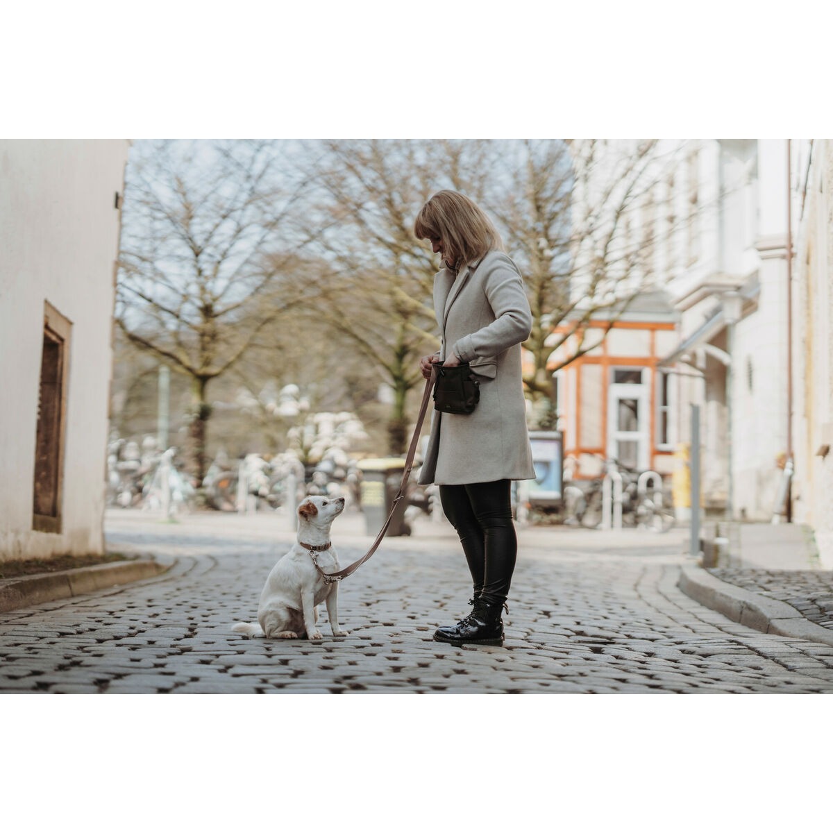 S6104568_4 S6104568_4