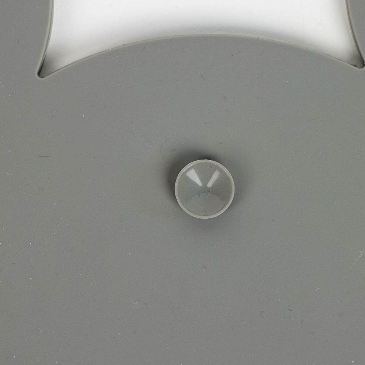 S2449933_1 S2449933_1